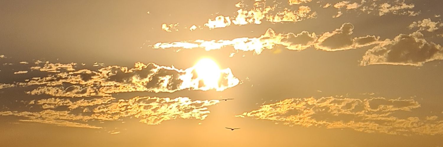 WilliamMR14's profile banner image