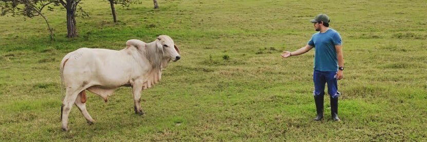 Adrian David Pimenel banner