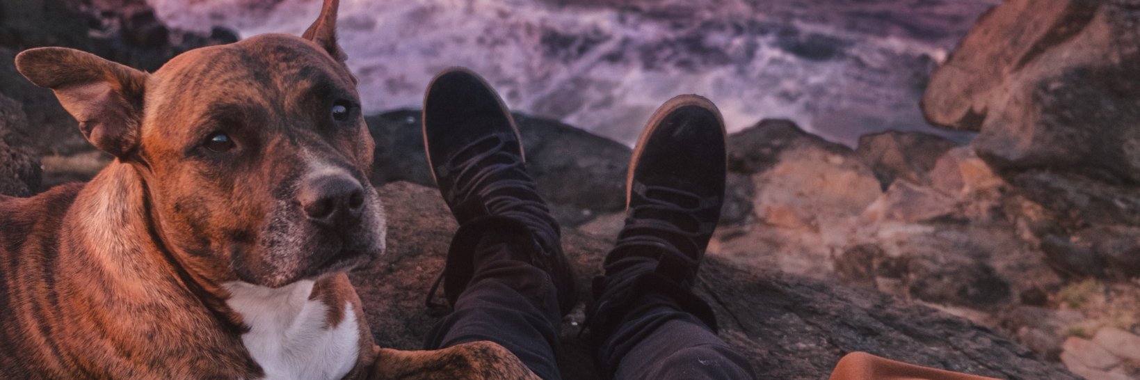 ChillOwl1's profile banner image