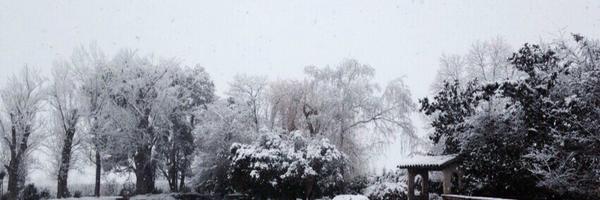 HazelNoisette Profile Banner