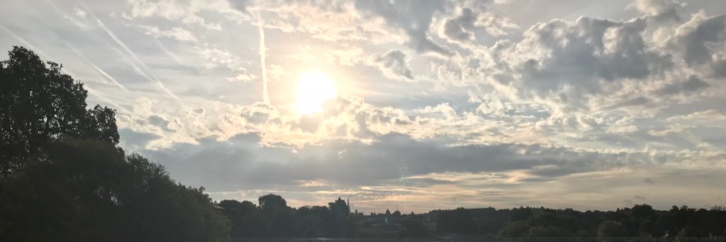 reecebeef's profile banner image