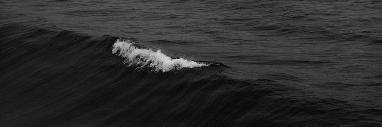 𝐴𝑙𝑖𝑐𝑒✨ banner