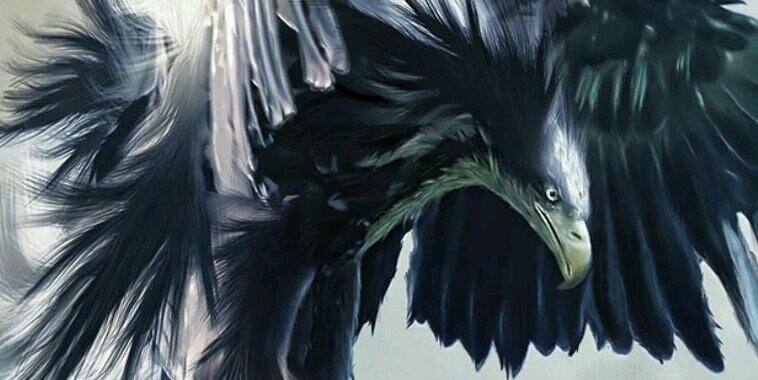 Sunskiller's profile banner image
