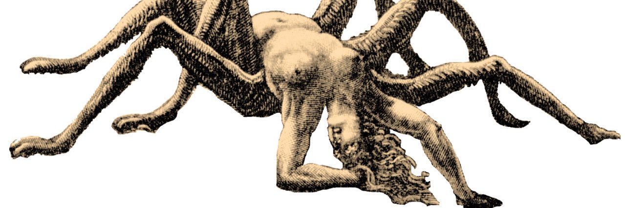 Milfisland's profile banner image