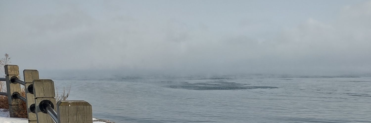 TaliaVander16's profile banner image