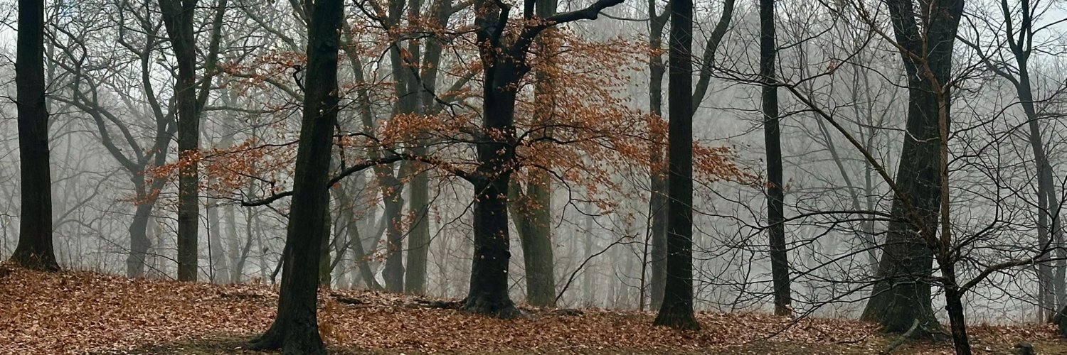 antflac's profile banner image