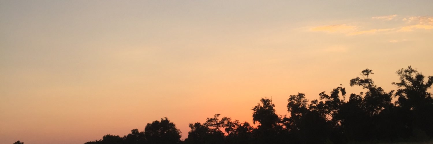 awkzero's profile banner image