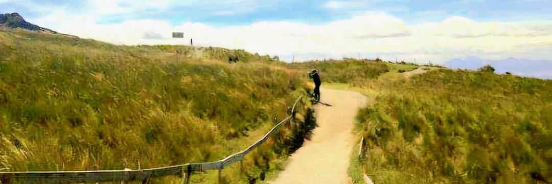 ▫️eFe. de la Torre 🐦 banner