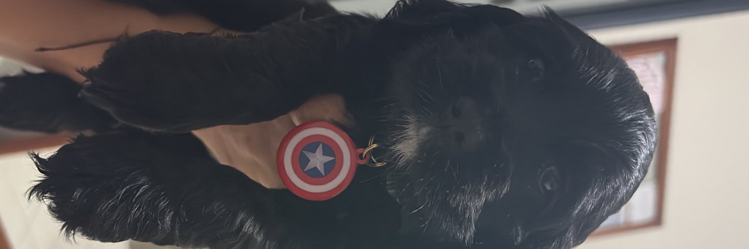 JMLAPS___'s profile banner image