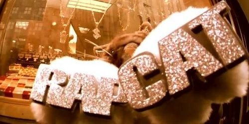 LocalRapCat's profile banner image