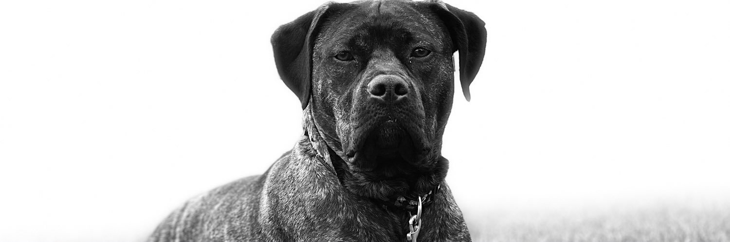 cannacassxo's profile banner image