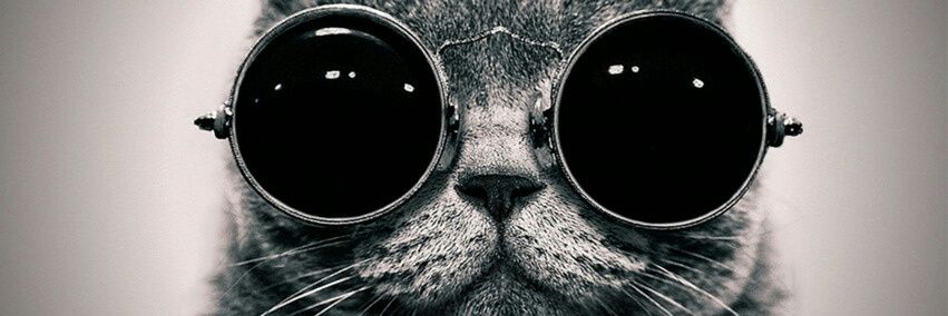 PartyHard0101's profile banner image