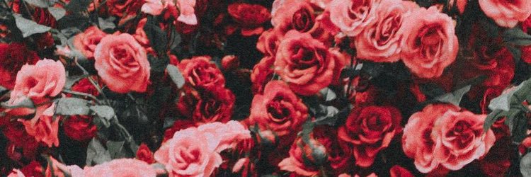 OhoD5578's profile banner image