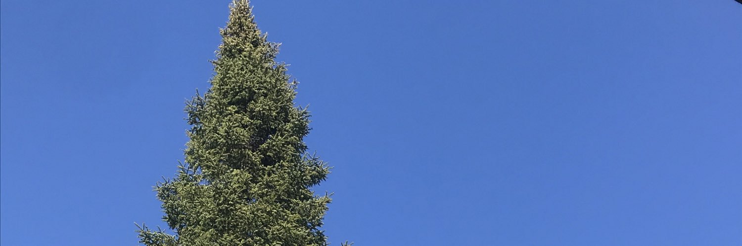 isobeldonalds's profile banner image
