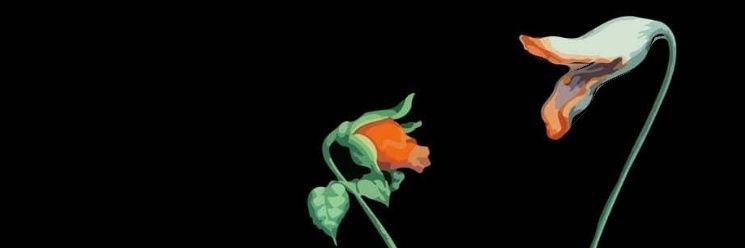 radiofonica83's profile banner image