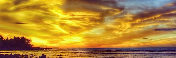 Yours_Truly_S Profile Banner