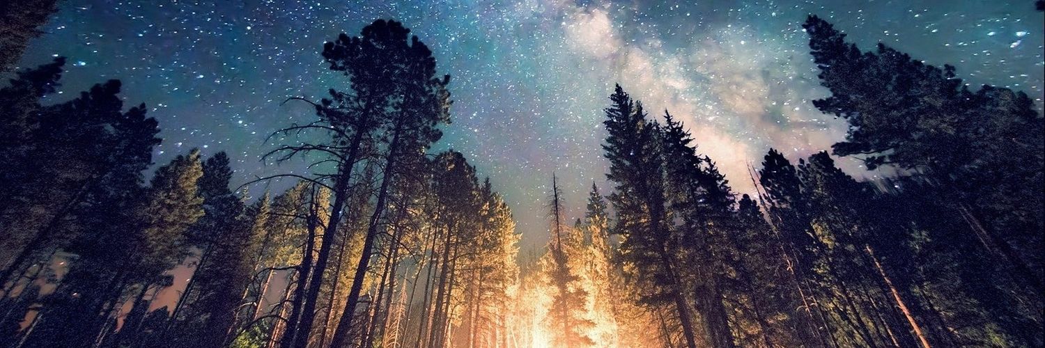 PsFtw_'s profile banner image