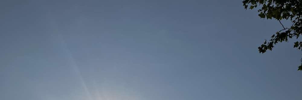 cypresssgrove's profile banner image
