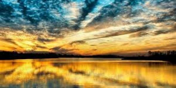 Guio_11's profile banner image