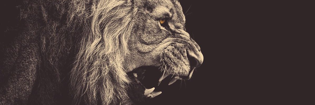 sepvictor_'s profile banner image