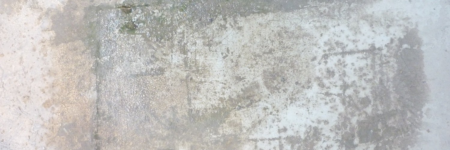 PamelaHBowden's profile banner image