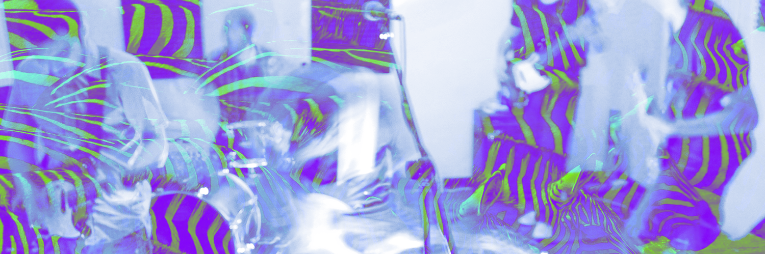 LluevenAnimales's profile banner image