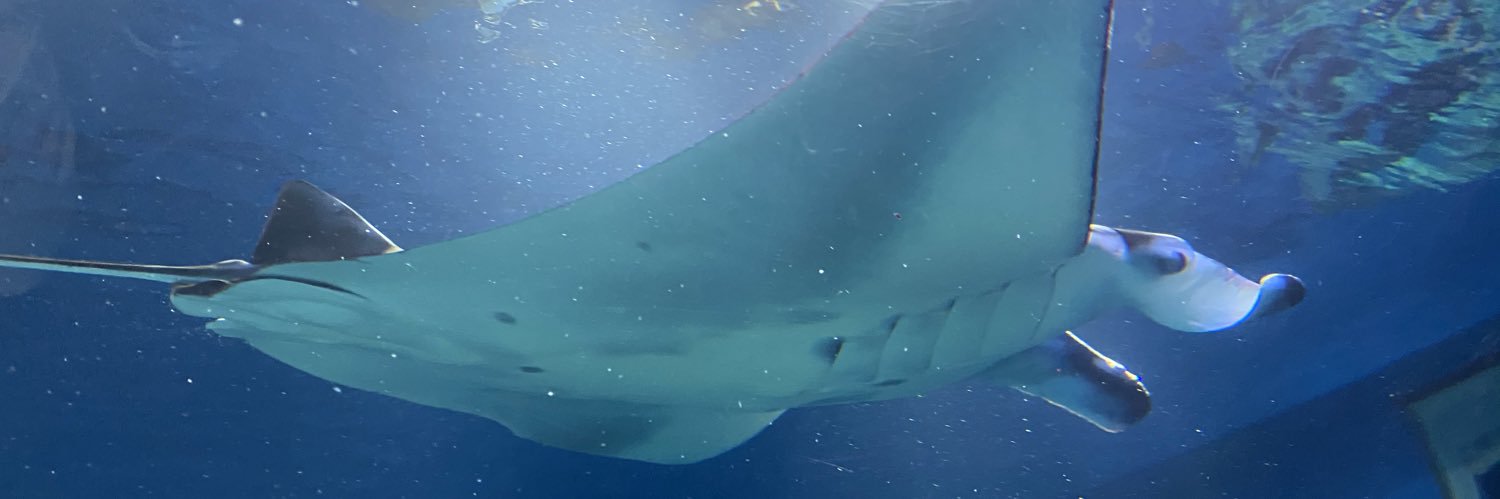 norisio147's profile banner image