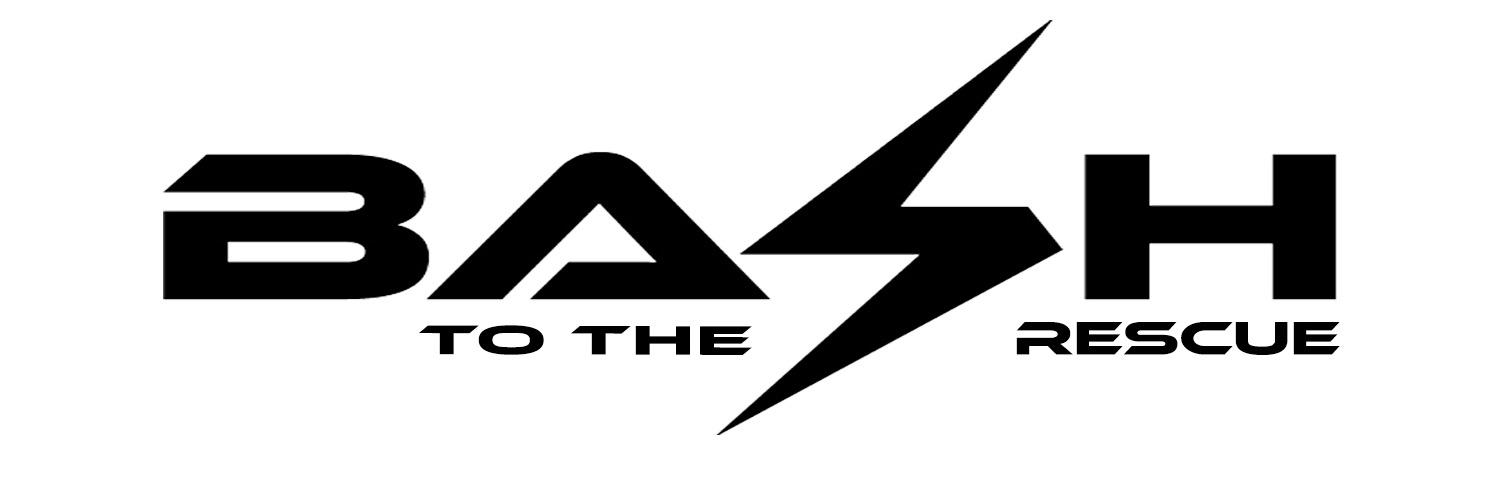 BashToTheRescue's profile banner image