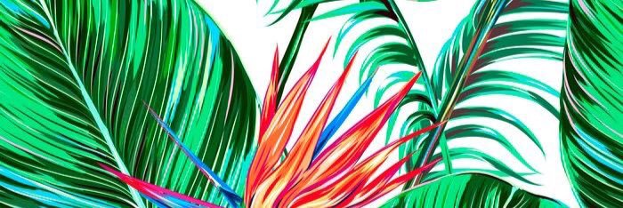 ManuFigue's profile banner image