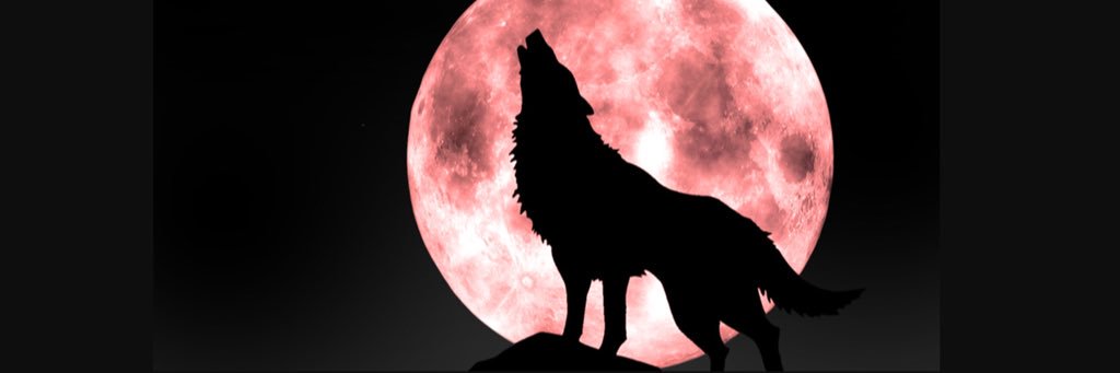 ByammML's profile banner image