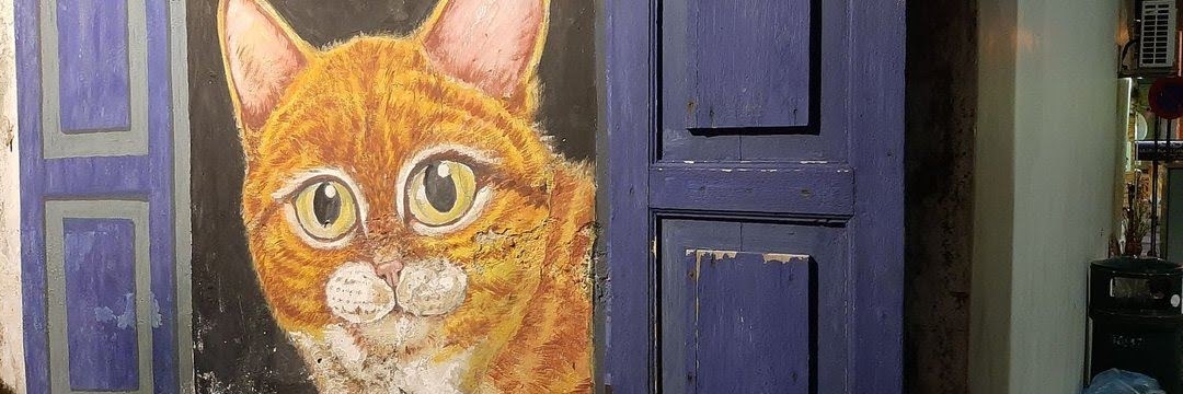 Sagar Umair 🤘🔱🚩🕉️ banner