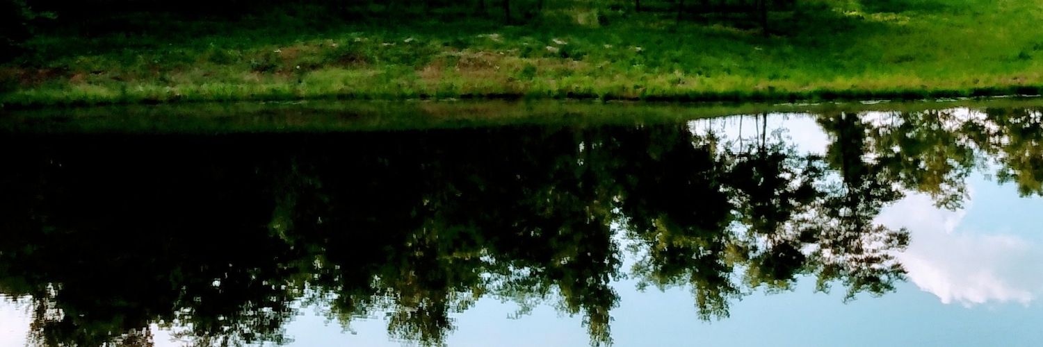 _weelass's profile banner image