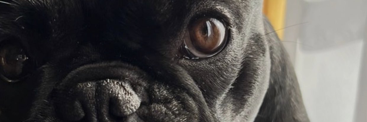 alexiaMagali15's profile banner image