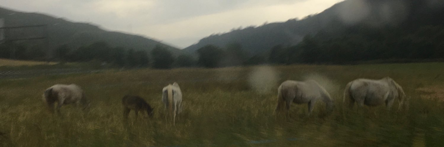 mujigum.bsky.social banner