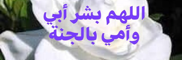 وبشر المؤمنين banner