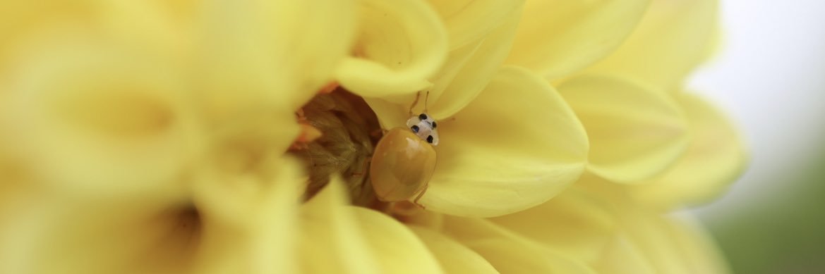 a_ya22381's profile banner image