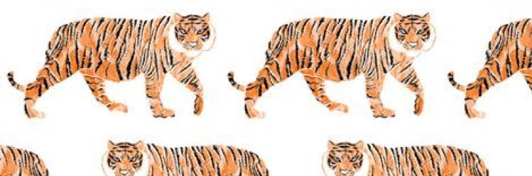 maddiegodfrey_'s profile banner image