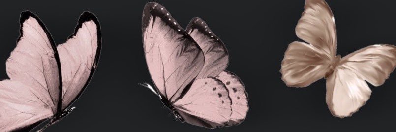 .'s banner