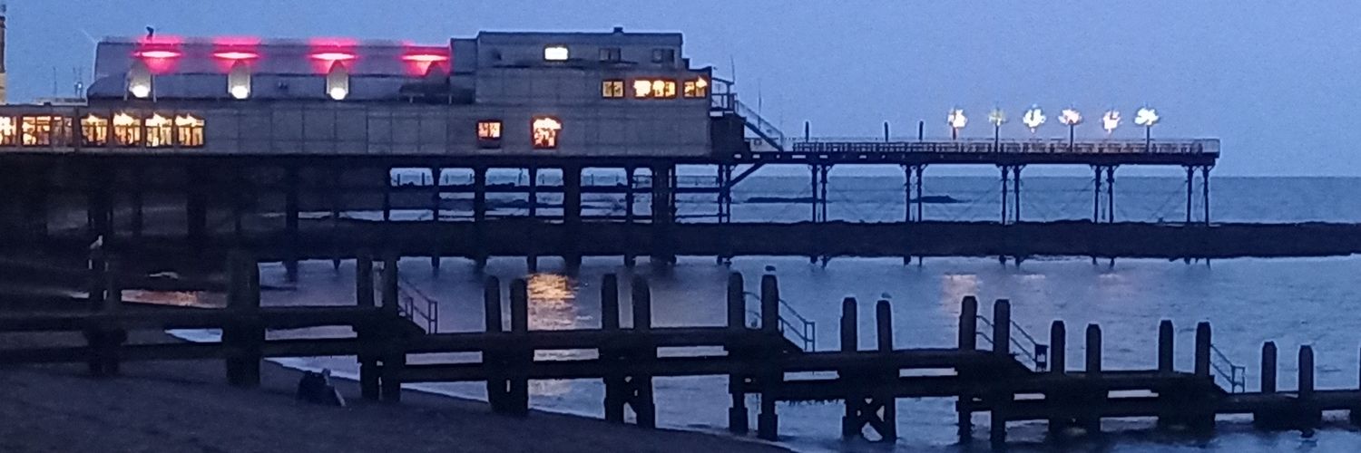 Fiona Robbins banner