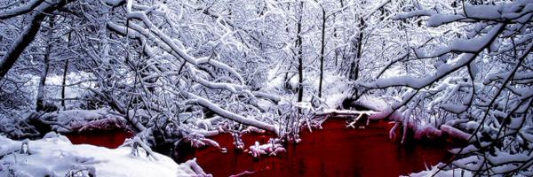 JimmytheLizard Profile Banner