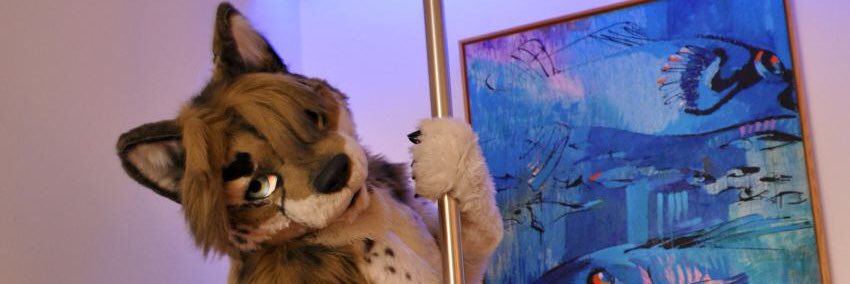 minstrelwolf's profile banner image