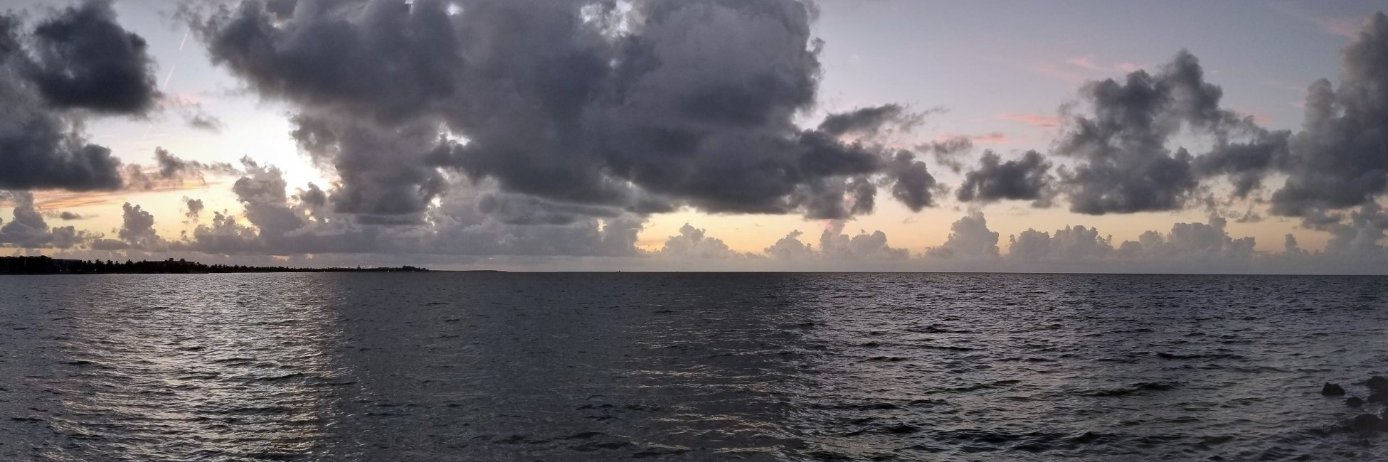 Michelle Pruchnicki banner