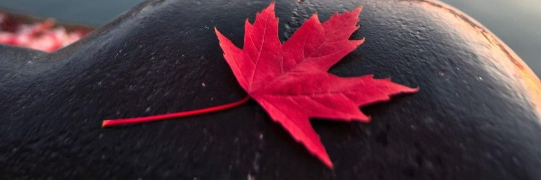 gordonw28's profile banner image
