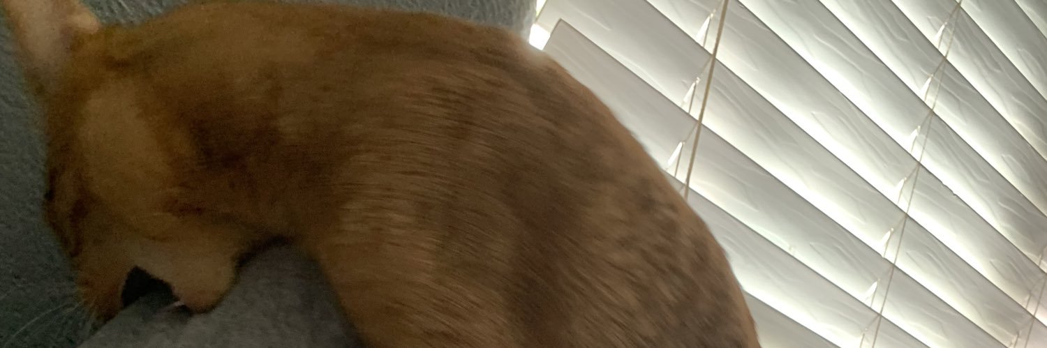 PAP1K1's profile banner image