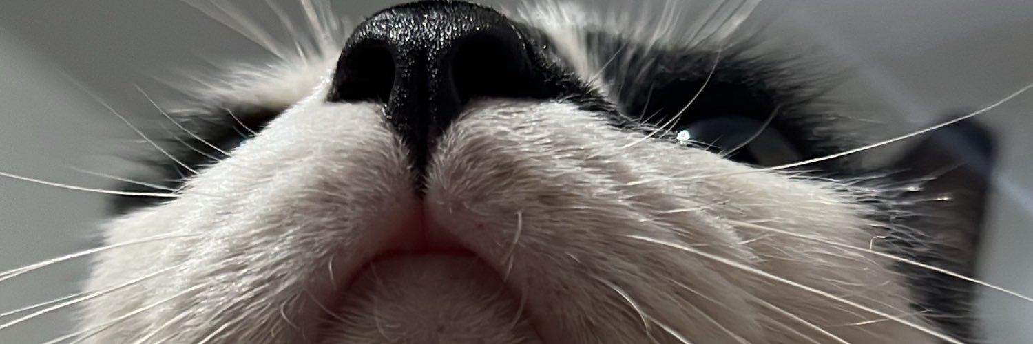 kalyff69's profile banner image