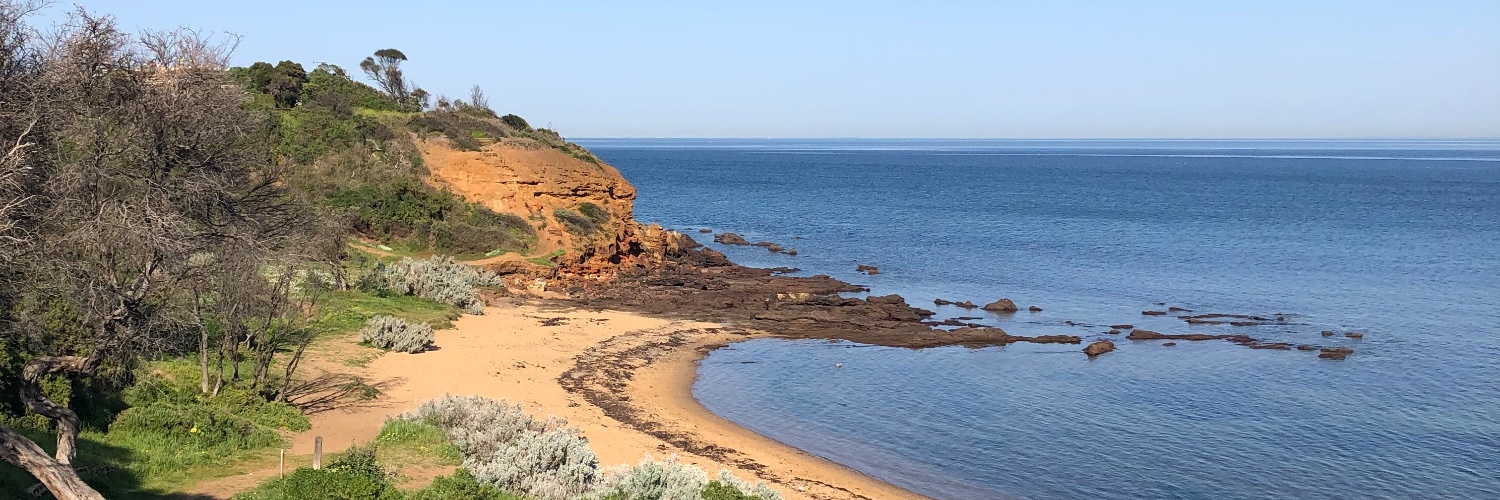 Secret Squirrel 🐿️ banner