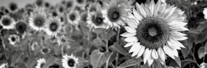 andreagzzsantos's profile banner image