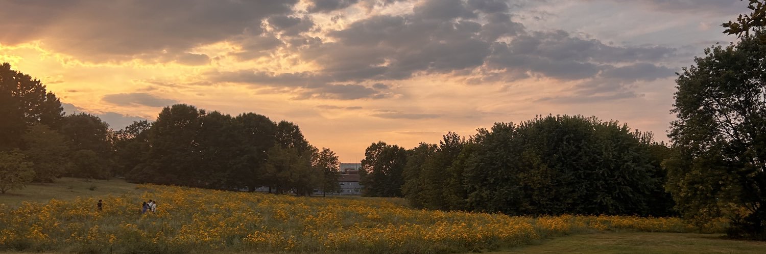 Lincoln Grey Ransom banner