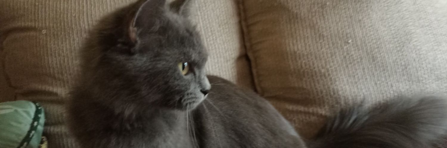 lelapujangga's profile banner image