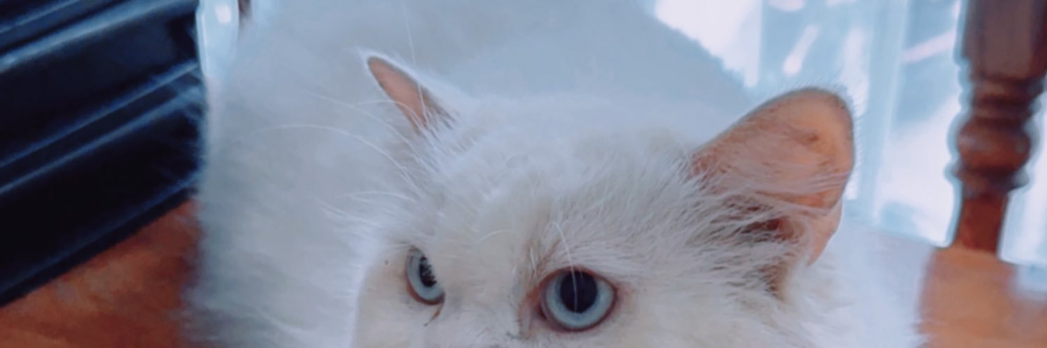 fffflffffffffff's profile banner image